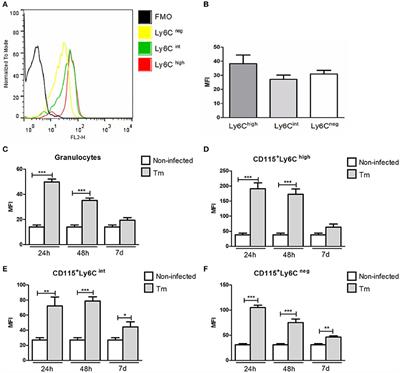 TLR2−/− Mice Display Increased Clearance of Dermatophyte <mark class="highlighted">Trichophyton mentagrophytes</mark> in the Setting of Hyperglycemia